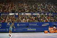 Abierto Mexicano de Tenis 2014